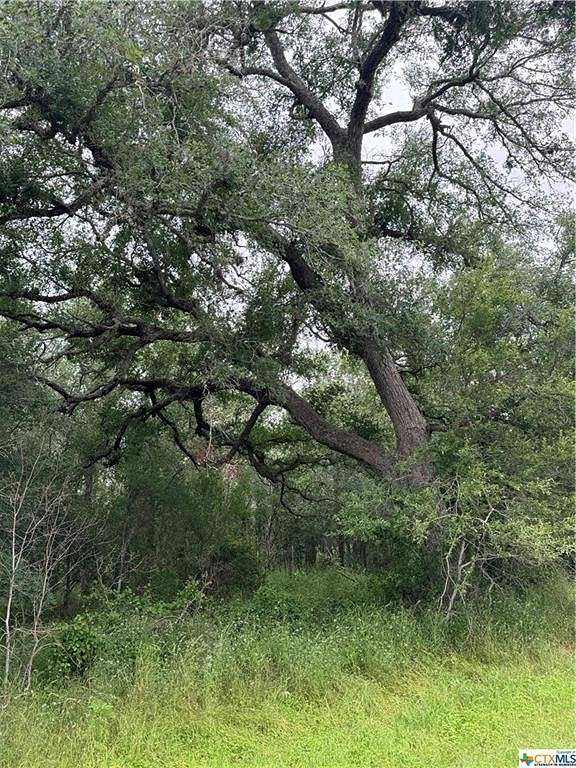 0.48 Acres of Residential Land for Sale in Sutherland Springs, Texas