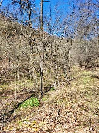 30.5 Acres of Land for Sale in Austin, Pennsylvania