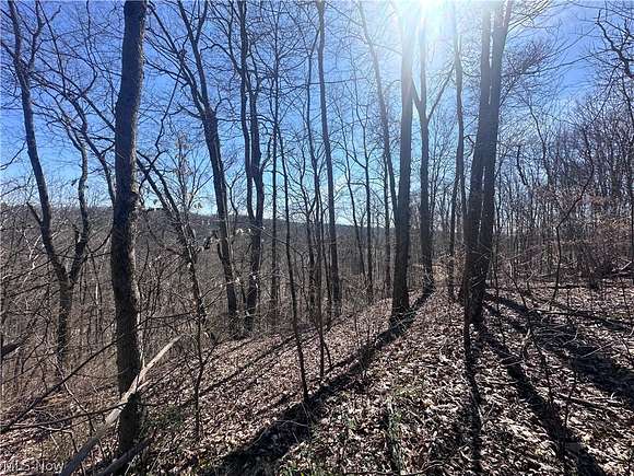 10 Acres of Recreational Land for Sale in Blue Rock, Ohio