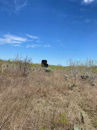 330 Acres of Recreational Land for Sale in Fowlerton, Texas