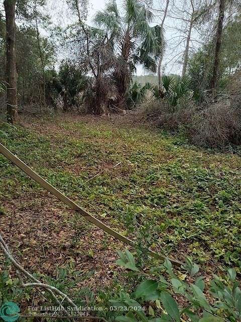 Residential Land for Sale in Ocklawaha, Florida