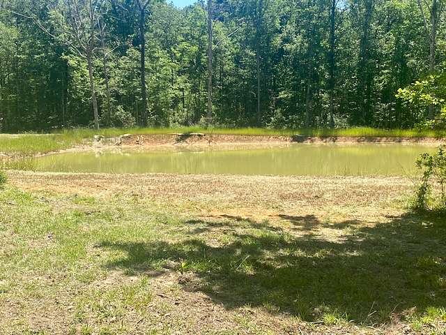 49 Acres of Recreational Land & Farm for Sale in Magnolia, Mississippi