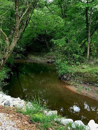 40 Acres of Recreational Land for Sale in Magnolia, Mississippi
