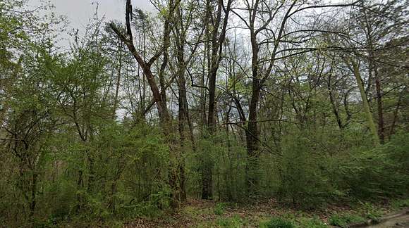 0.71 Acres of Residential Land for Sale in Birmingham, Alabama