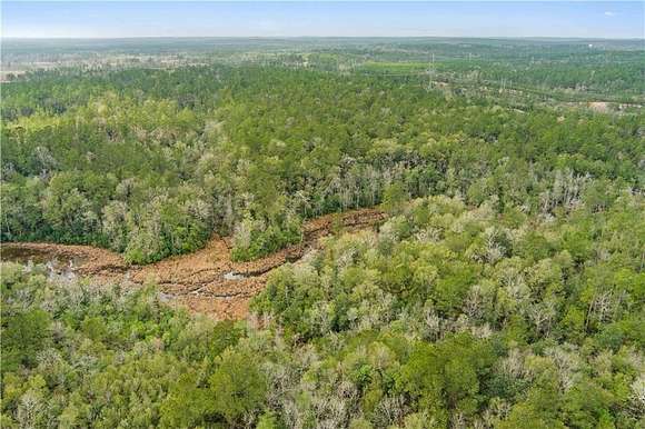 23 Acres of Land for Sale in Mount Vernon, Alabama