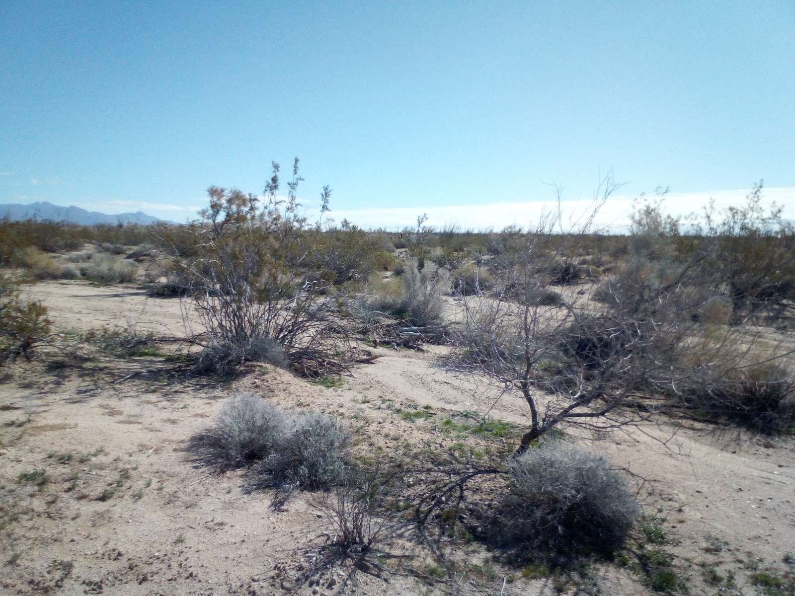 4 Acres of Residential Land for Sale in Yucca, Arizona