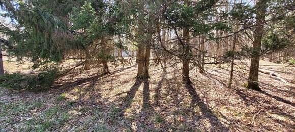0.59 Acres of Residential Land for Sale in Albrightsville, Pennsylvania