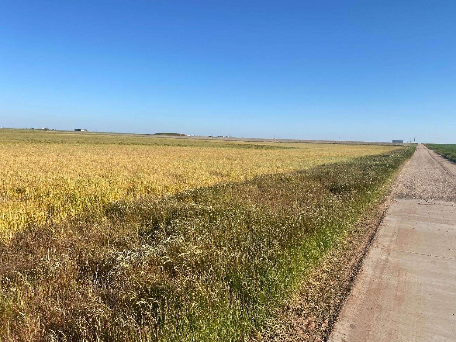 61.8 Acres of Land for Sale in Wolfforth, Texas