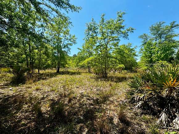 177 Acres of Recreational Land for Sale in Lamont, Florida