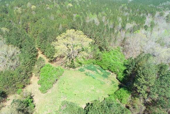 495 Acres of Recreational Land for Sale in Bankston, Alabama