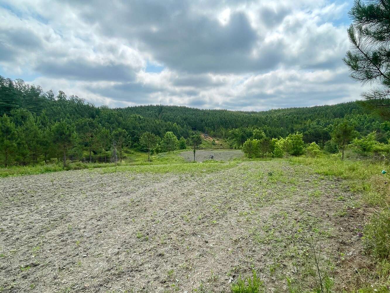288 Acres of Recreational Land for Sale in Townley, Alabama