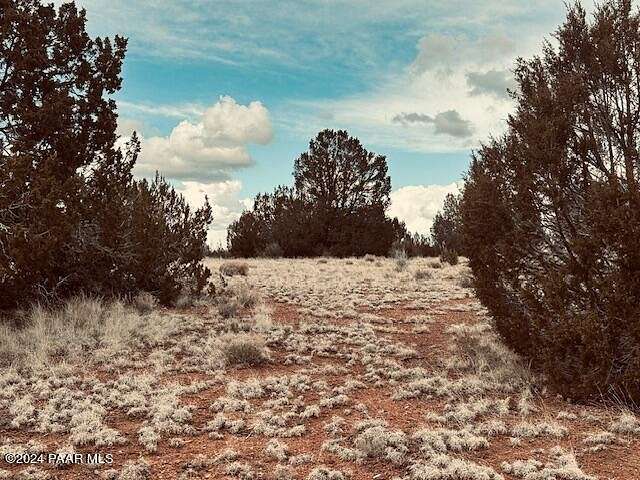 9 Acres of Residential Land for Sale in Seligman, Arizona