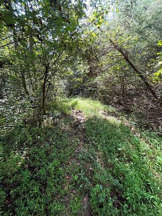47 Acres of Land for Sale in Virgie, Kentucky
