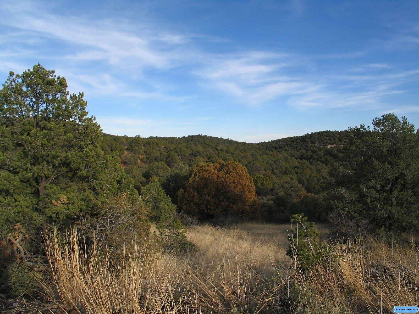 10 Acres of Residential Land for Sale in Silver City, New Mexico