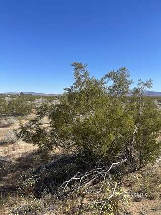 39.8 Acres of Recreational Land for Sale in Inyokern, California