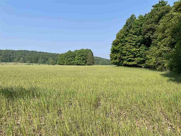 36 Acres of Agricultural Land for Sale in Pellston, Michigan