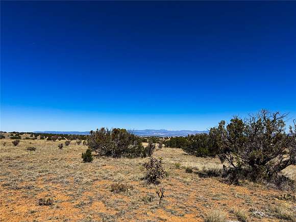 20 Acres of Recreational Land for Sale in Cerrillos, New Mexico