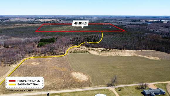 40 Acres of Land for Sale in Birnamwood, Wisconsin