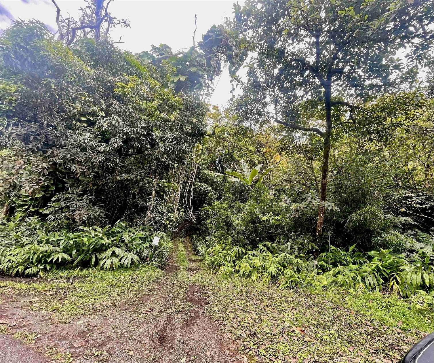 105.134 Acres of Land for Sale in Hana, Hawaii