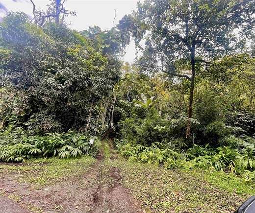 105 Acres of Land for Sale in Hana, Hawaii