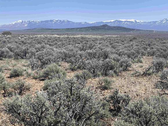 560 Acres of Land for Sale in Tres Piedras, New Mexico