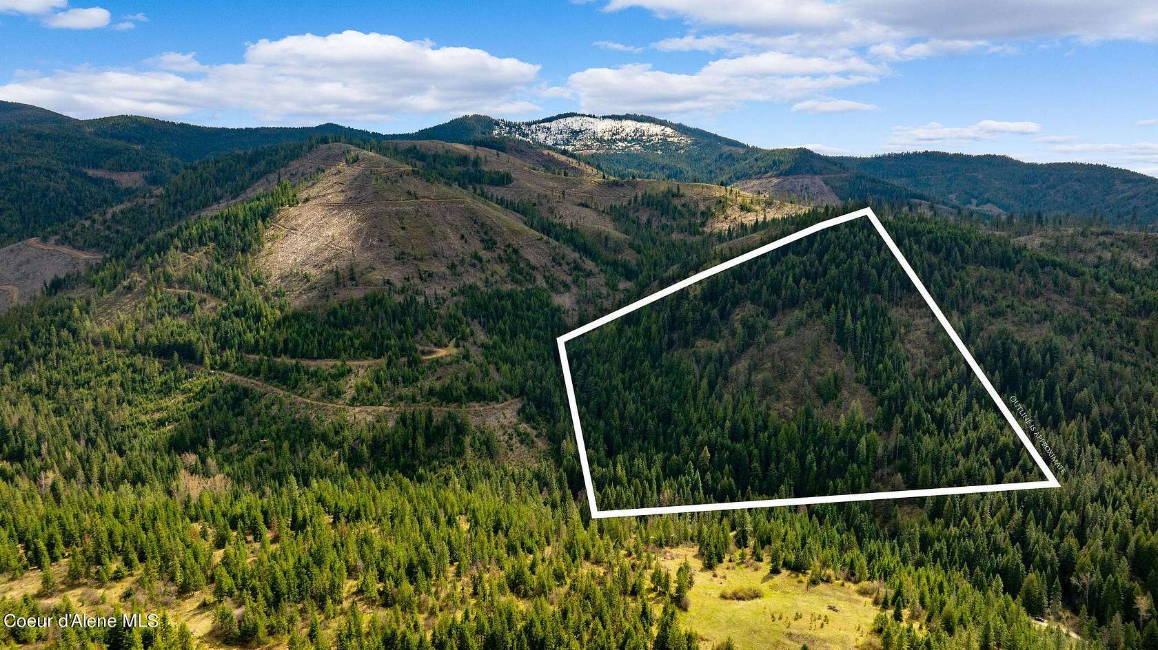 40 Acres of Land for Sale in Medimont, Idaho