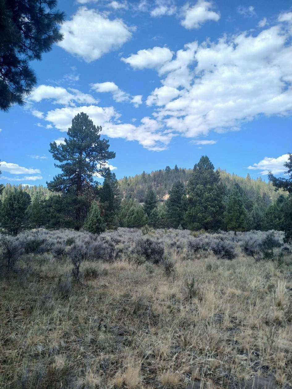 40 Acres of Recreational Land & Farm for Sale in Chiloquin, Oregon