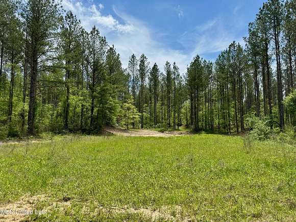 50 Acres of Recreational Land for Sale in Camden, Mississippi