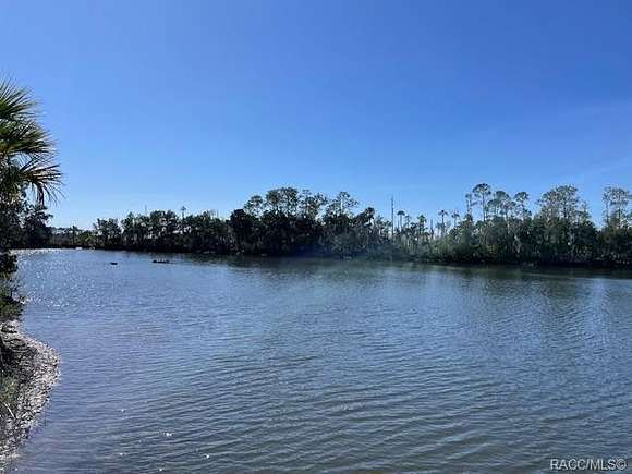122 Acres of Recreational Land for Sale in Crystal River, Florida