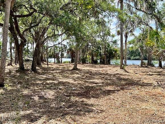 121.51 Acres of Recreational Land for Sale in Crystal River, Florida