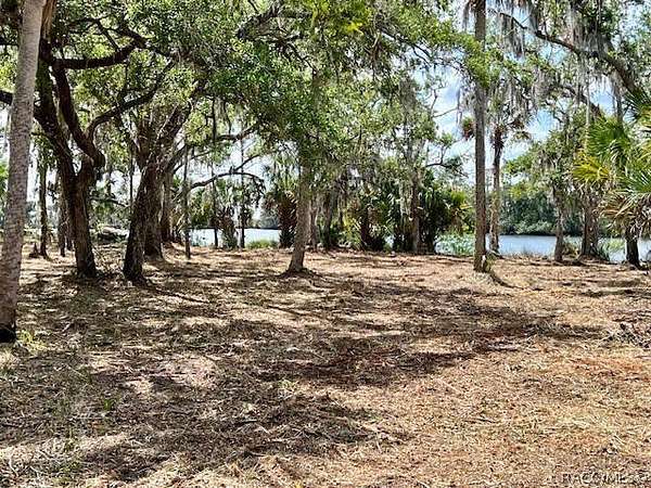 122 Acres of Recreational Land for Sale in Crystal River, Florida