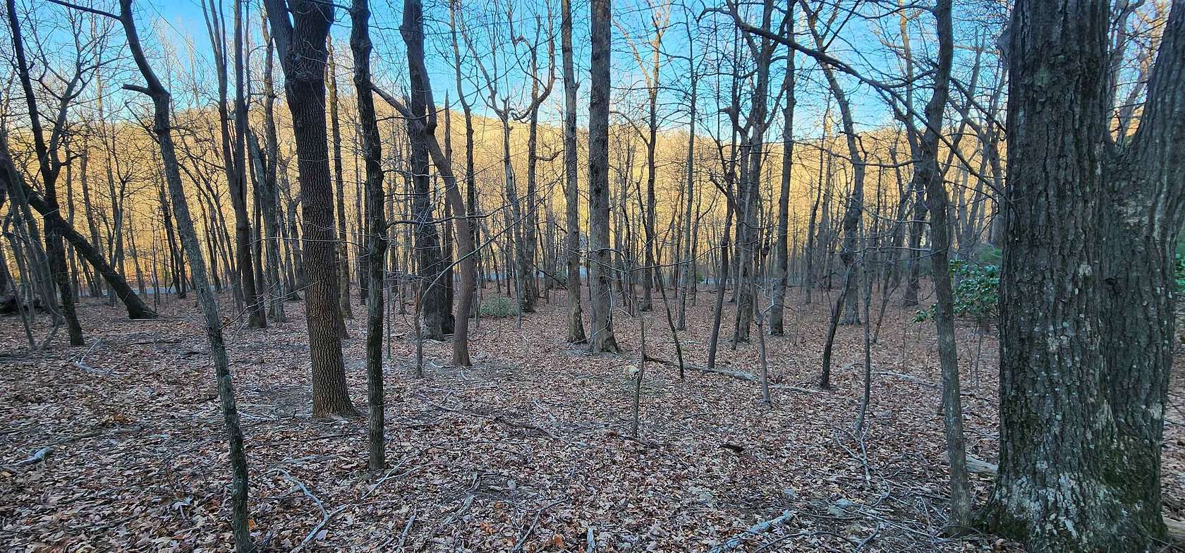 1 Acre of Residential Land for Sale in Columbus, North Carolina