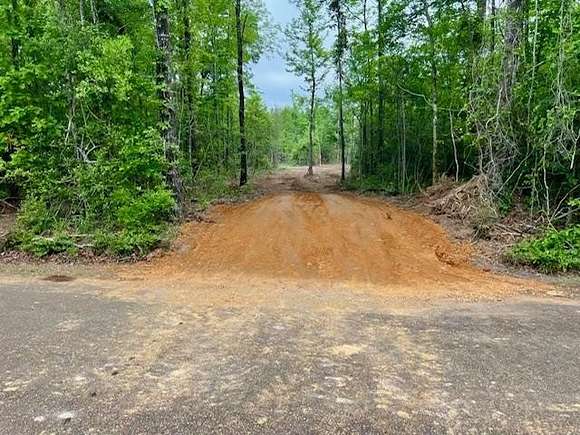 1 Acre of Residential Land for Sale in Tylertown, Mississippi