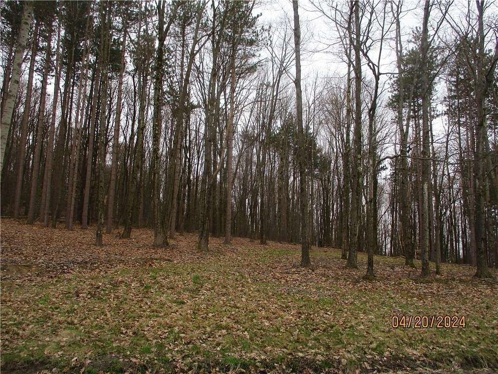 6.1 Acres of Land for Sale in Windsor, New York