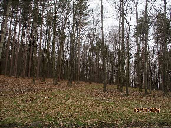 4 Acres of Land for Sale in Windsor, New York