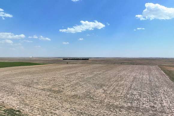 40 Acres of Agricultural Land for Sale in Elsie, Nebraska