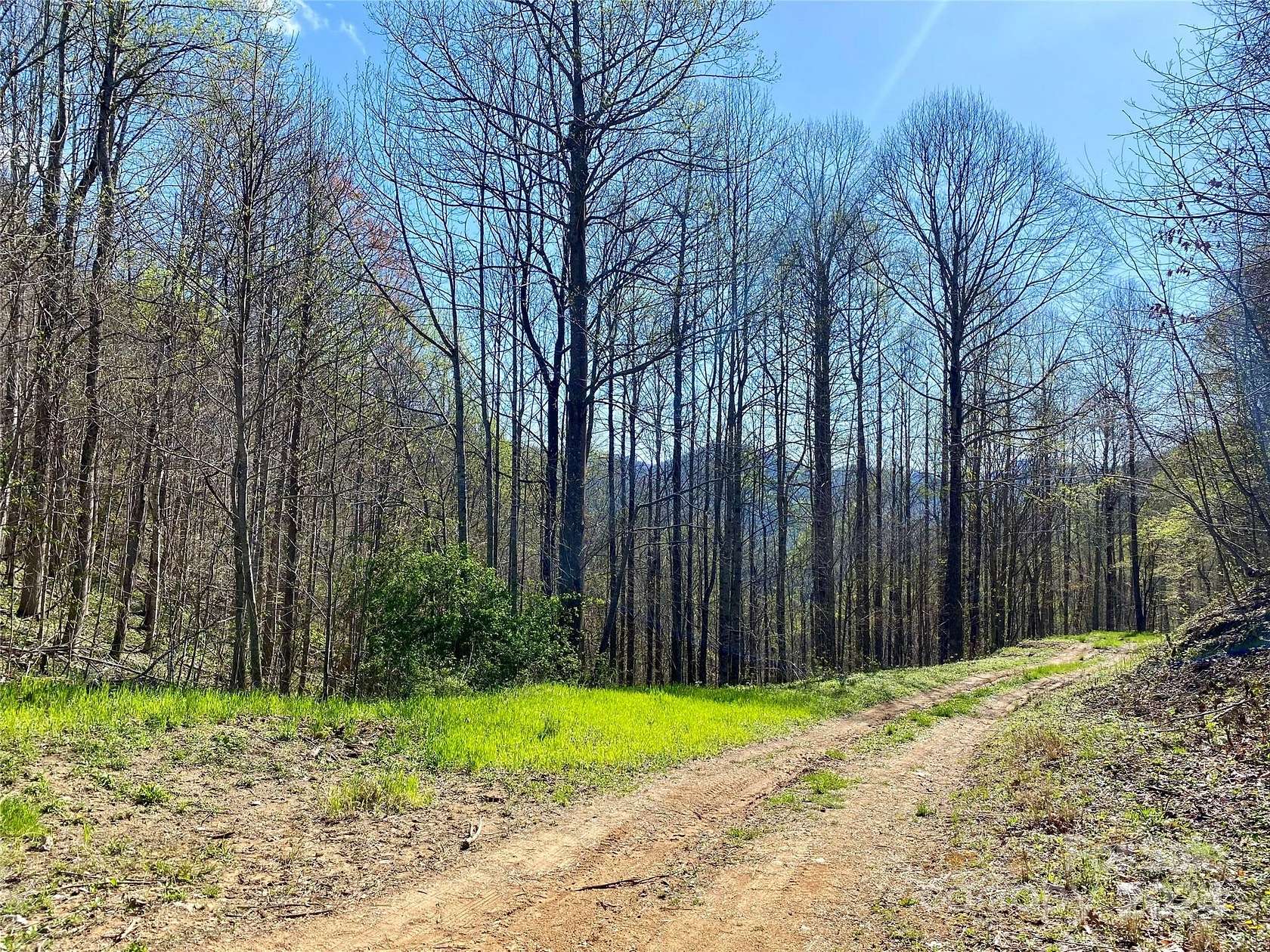 288 Acres of Land for Sale in Marshall, North Carolina