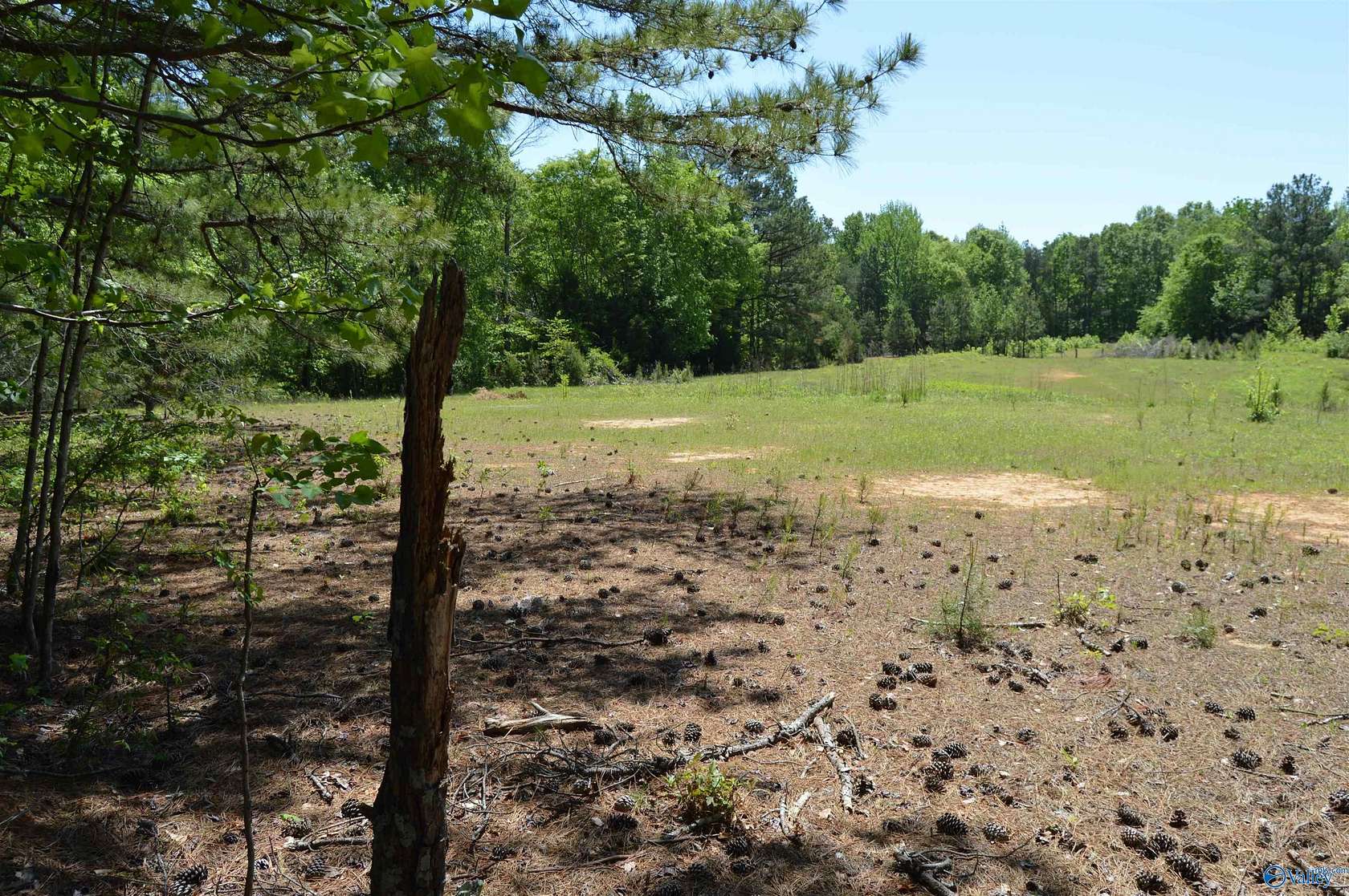 19.6 Acres of Land for Sale in Hartselle, Alabama