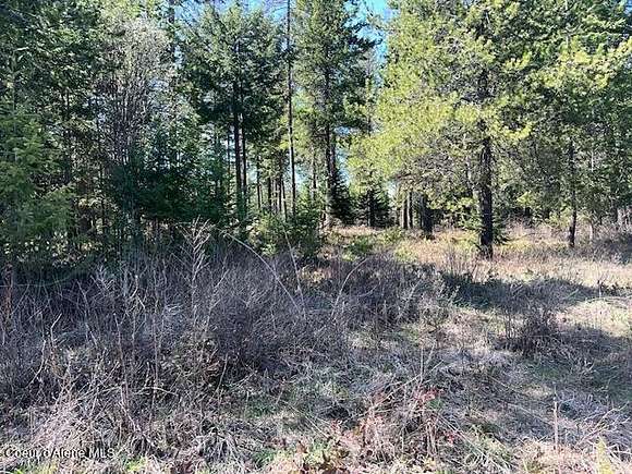 1.1 Acres of Residential Land for Sale in Rathdrum, Idaho