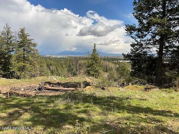 46.1 Acres of Land for Sale in Rathdrum, Idaho