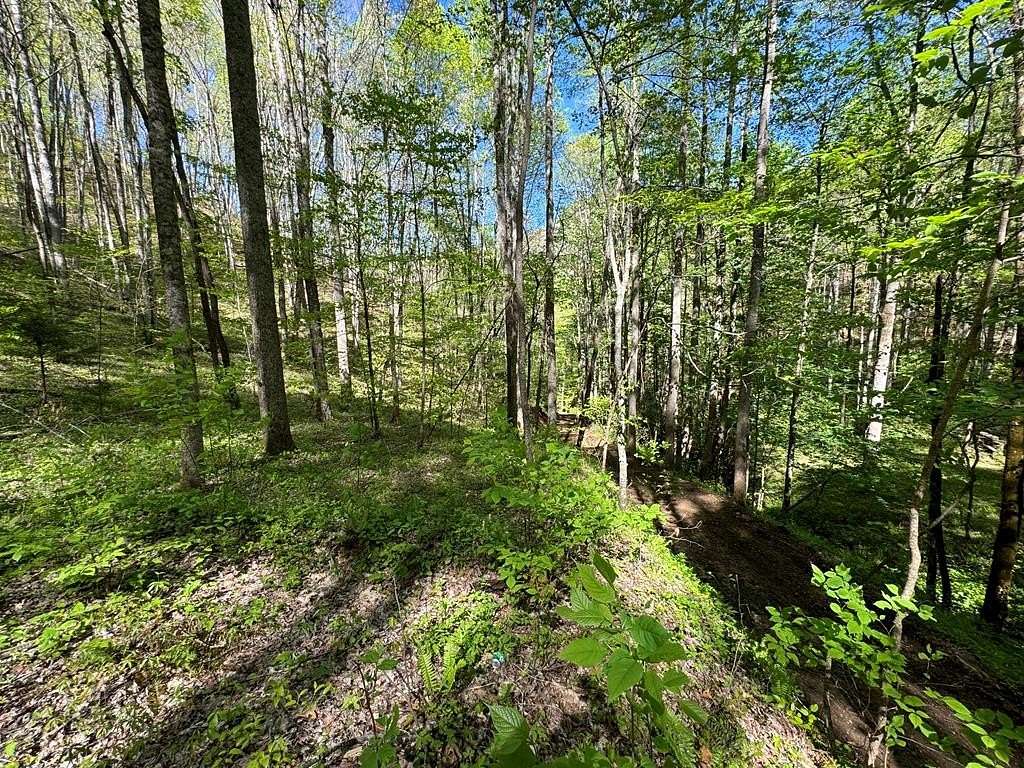 11.3 Acres of Recreational Land for Sale in Bryson City, North Carolina