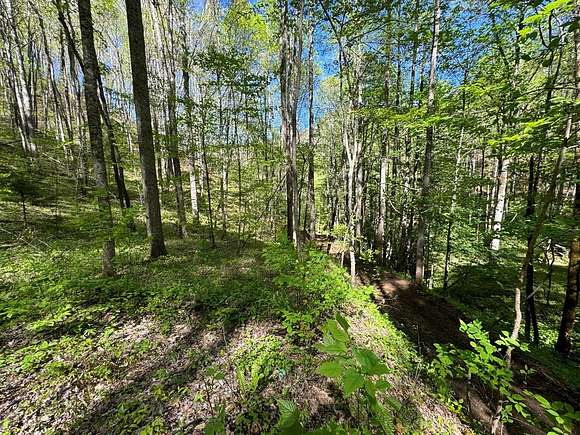 11.3 Acres of Land for Sale in Bryson City, North Carolina
