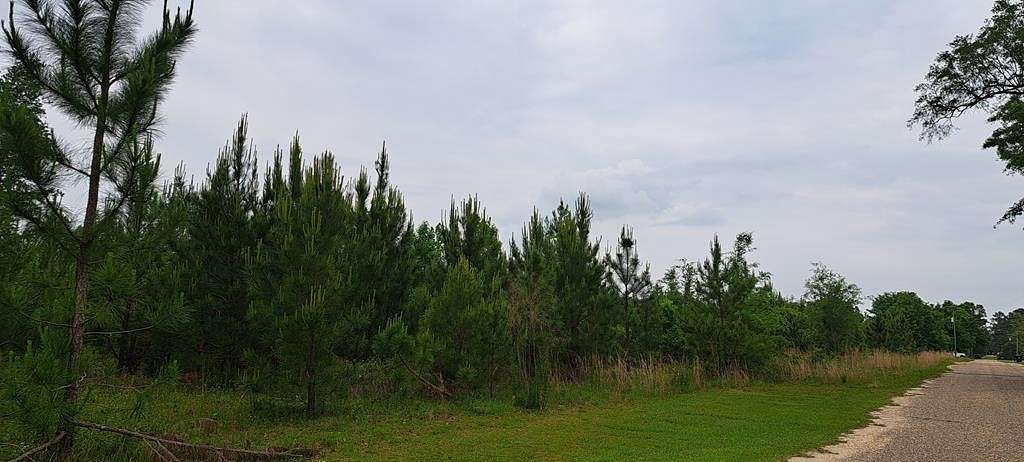 5.5 Acres of Residential Land for Sale in Gordon, Alabama