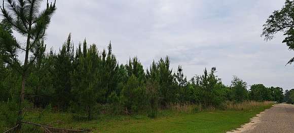 5.5 Acres of Residential Land for Sale in Gordon, Alabama