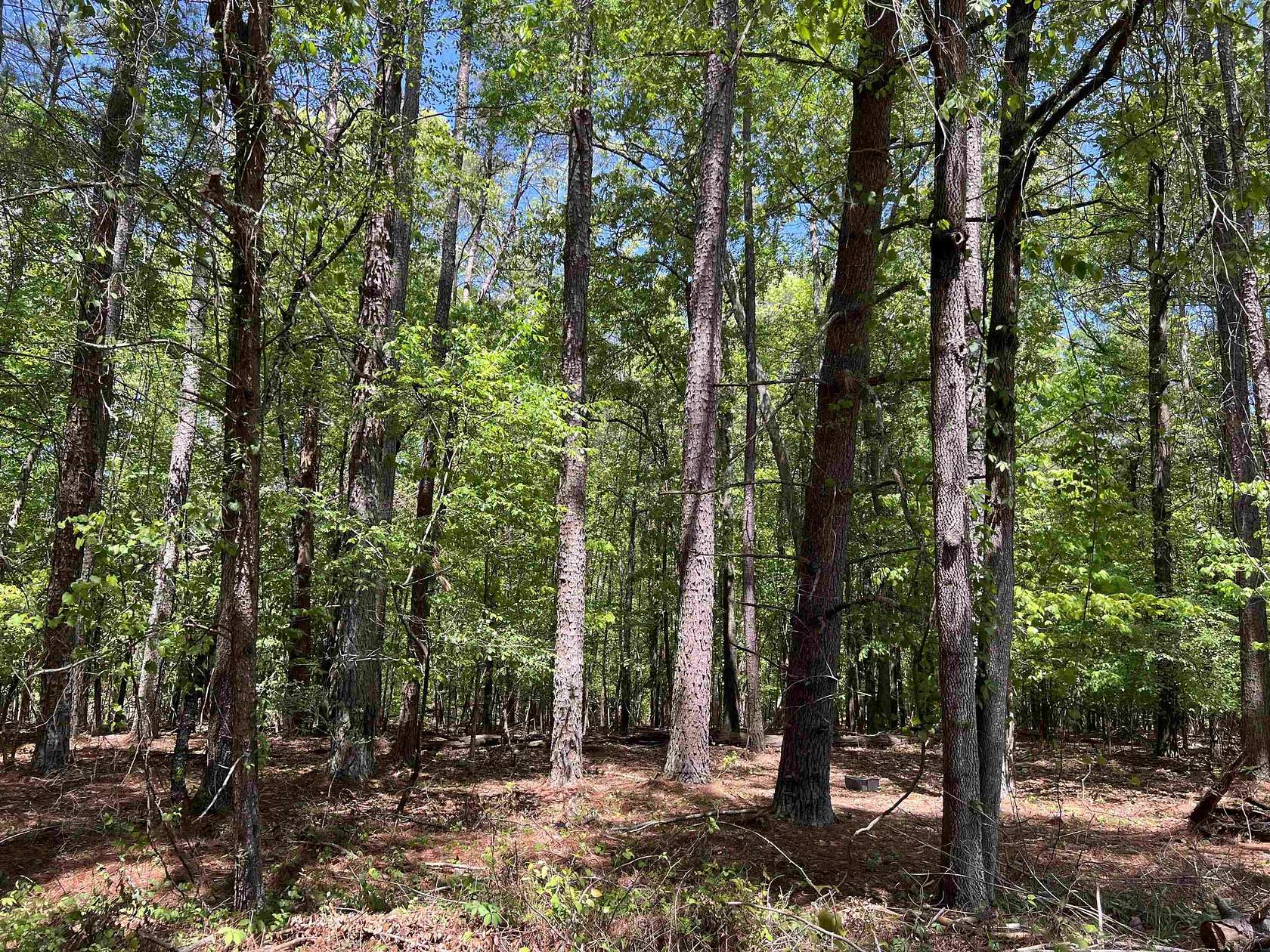 8 Acres of Residential Land for Sale in Spartanburg, South Carolina