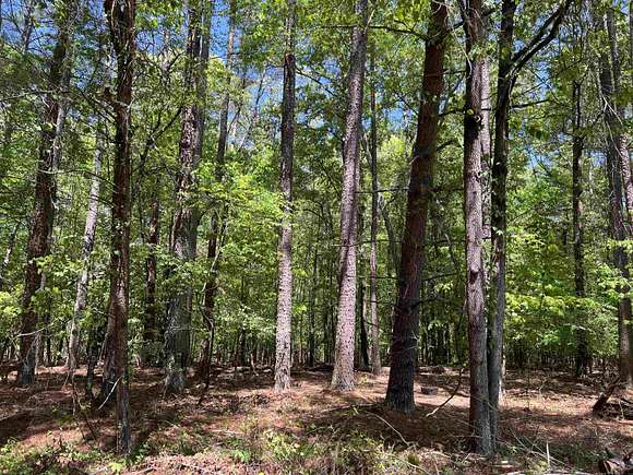 8 Acres of Residential Land for Sale in Spartanburg, South Carolina