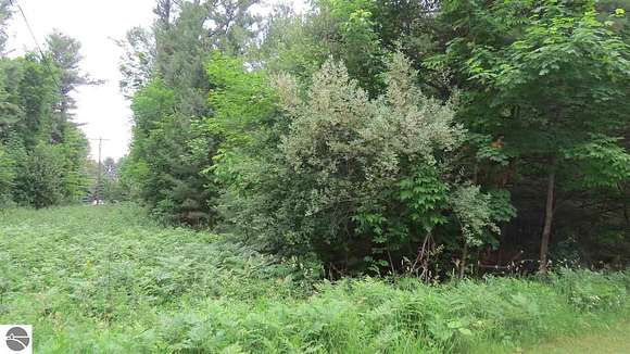1 Acre of Land for Sale in Eastport, Michigan