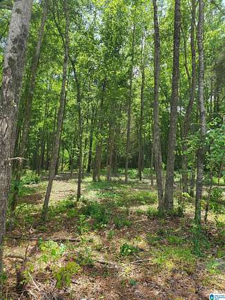 0.6 Acres of Commercial Land for Sale in Moody, Alabama