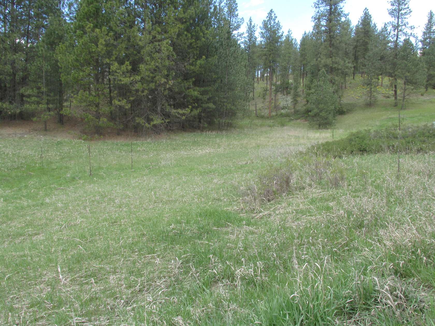 2 Acres of Land for Sale in Colville, Washington