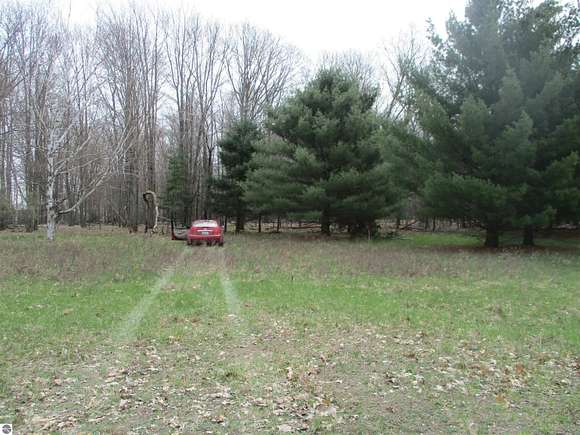 10 Acres of Recreational Land for Sale in Prescott, Michigan